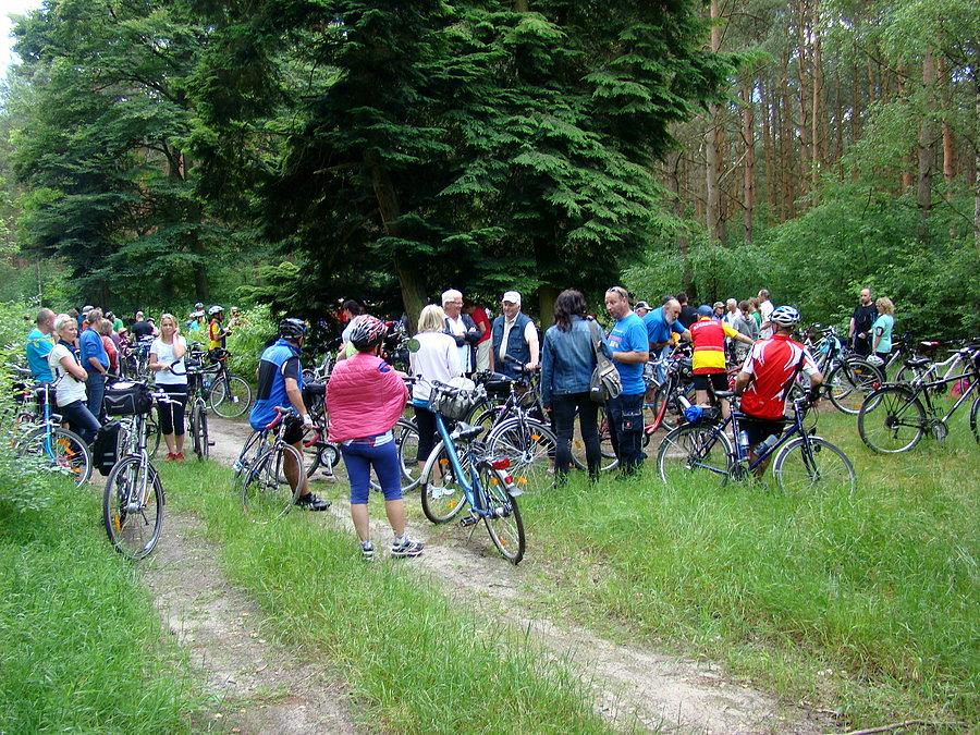 "Mobilny bez samochodu" z Samą Ramą - w drodze nad Świdwie