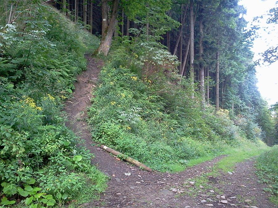 Na szlaku