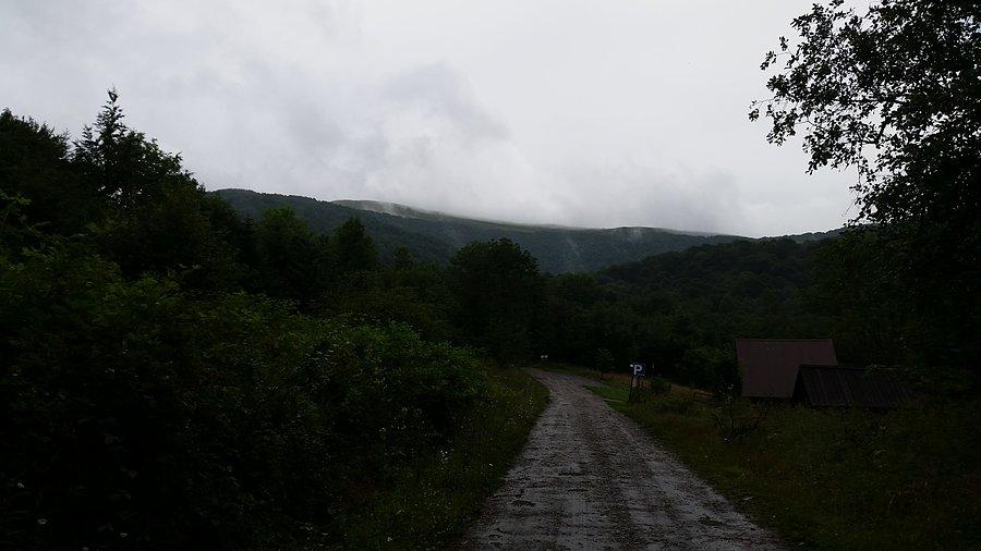 Mokre bieszczady