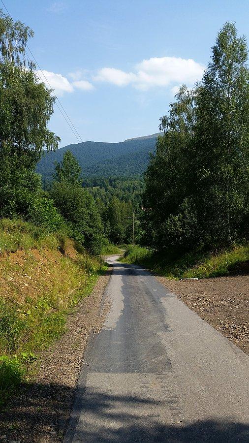 Kolejna fotka ze spaceru