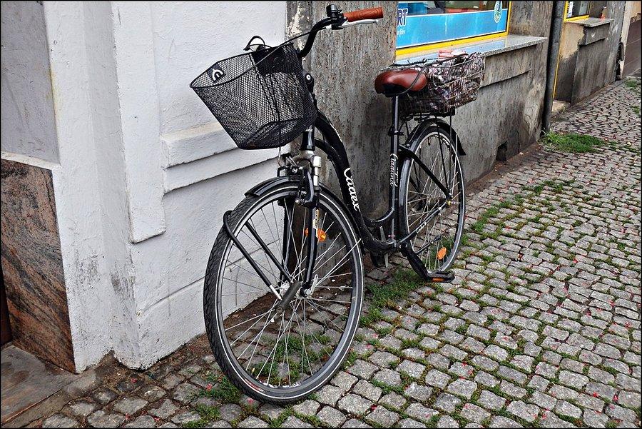 Mistrz zapinania roweru po wrocławsku