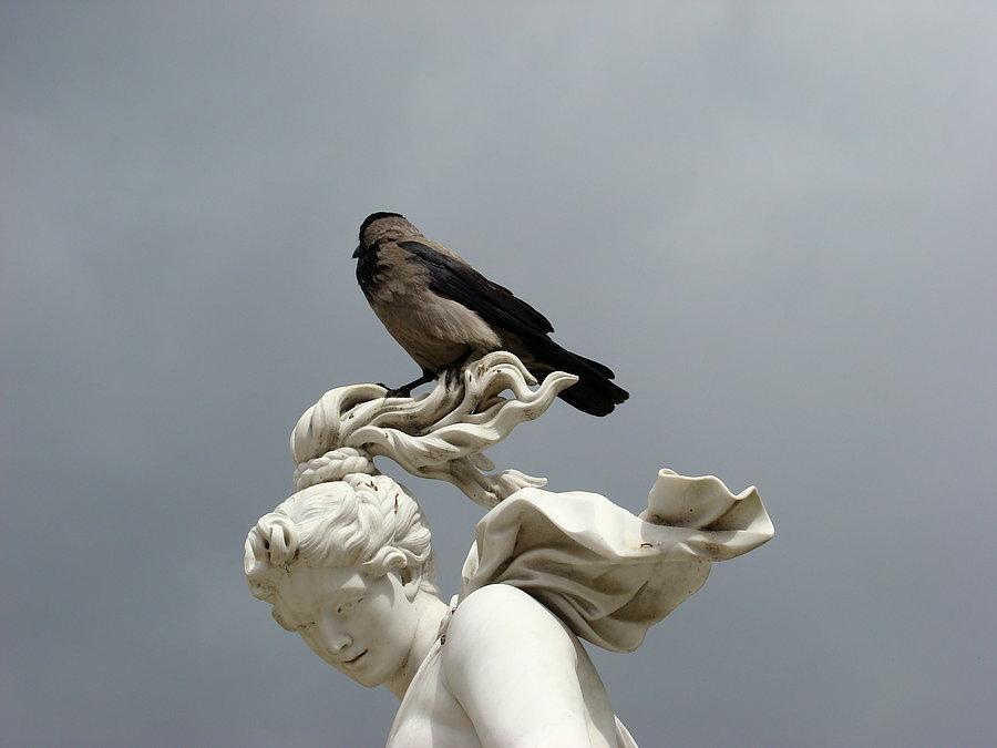 Poczdam - miejsce w którym można stracić głowę, a na pewno baterie w aparacie. 16