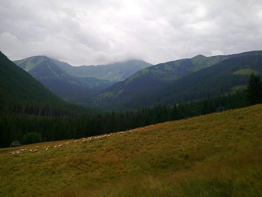 Pięknie