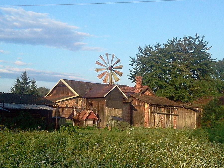 Wiatraczek