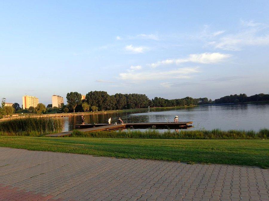 Borki radomskie