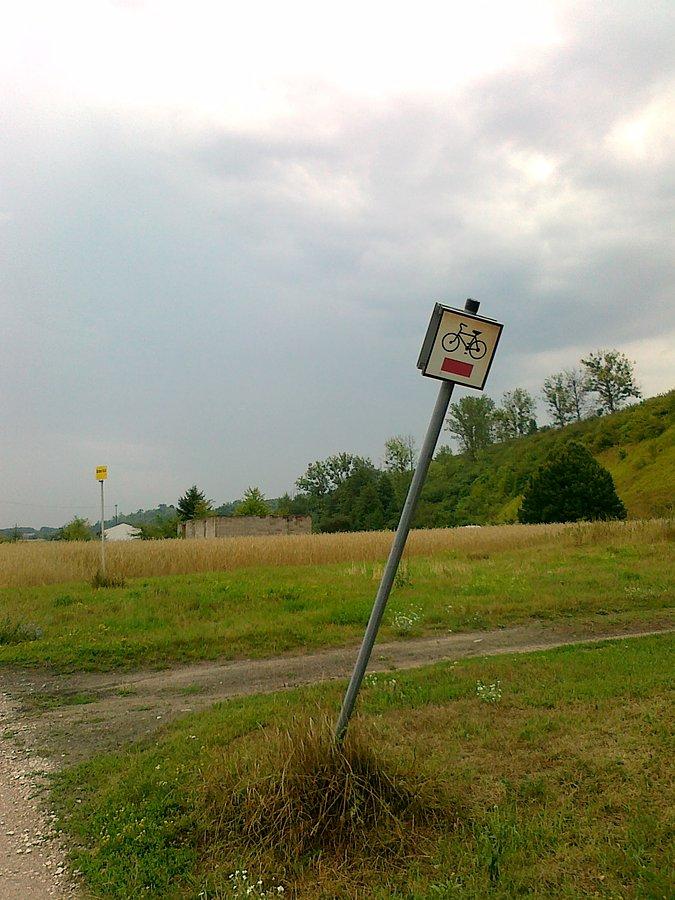 W drodze