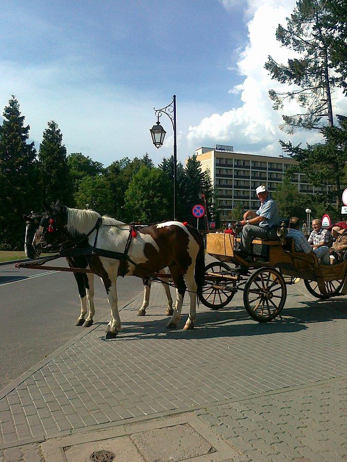 Takie pojazdy też tu są. Droższe niż taksówki..:)