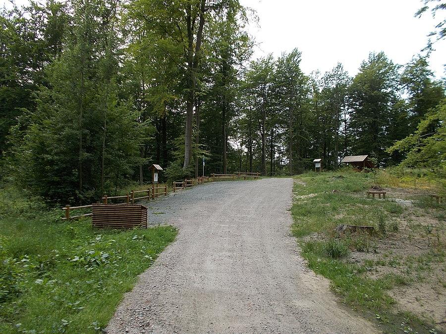 Parking leśny nad Suchaczem