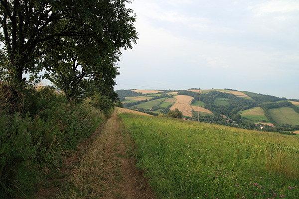 Na zjeździe do Siennej