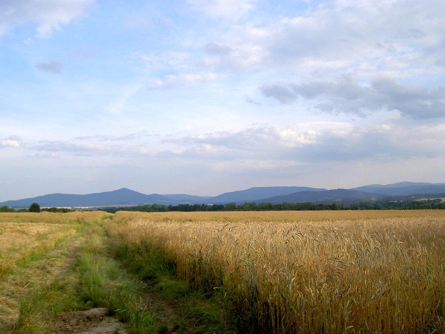 Widoki z Nowego Świętowa
