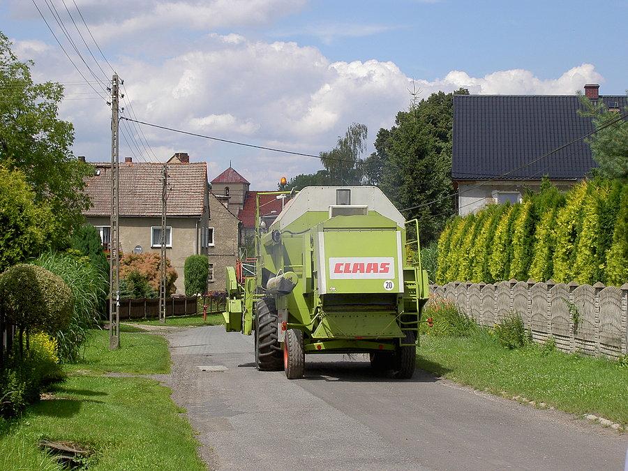 Żniwa w pełni