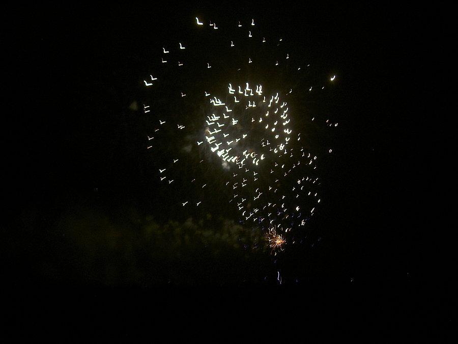 Festiwal ognia i wody