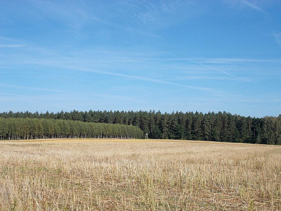 Okolice kwietniewa