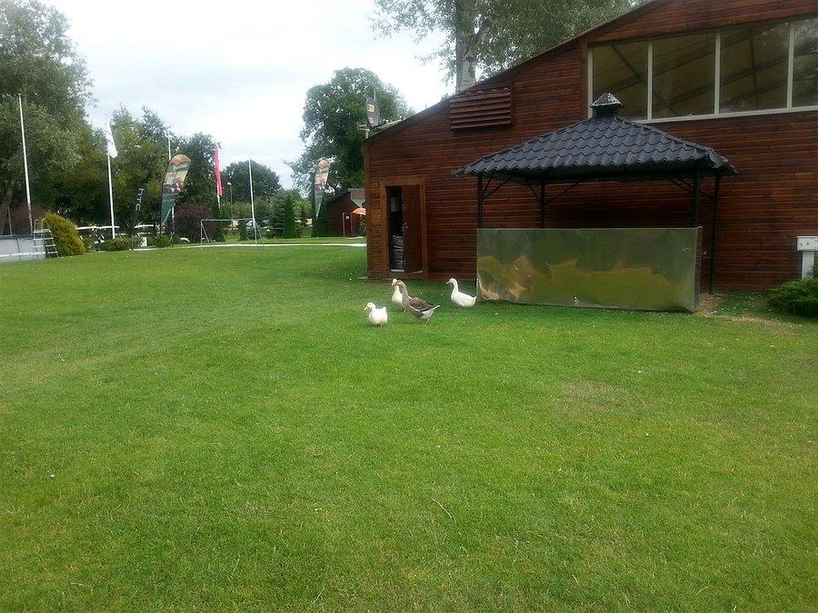 Rezydenci Golf Clubu
