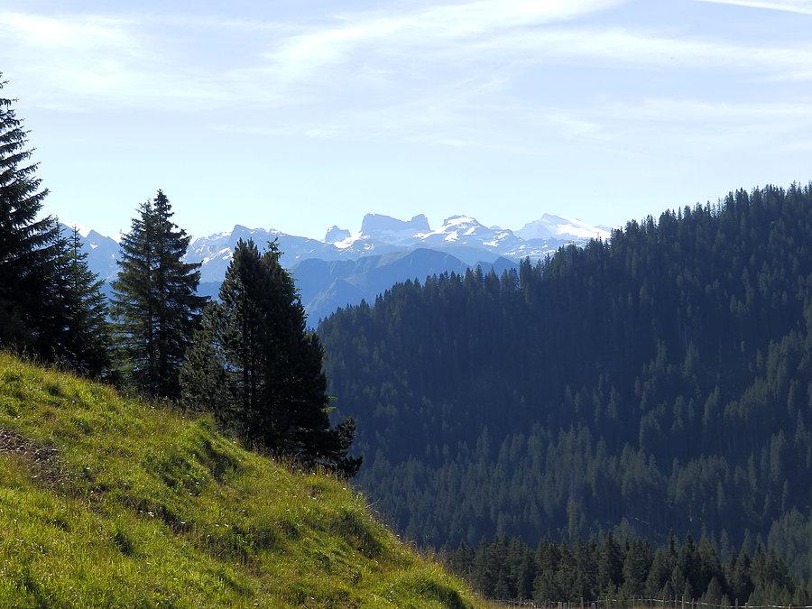 Szczyty Grindelwaldu