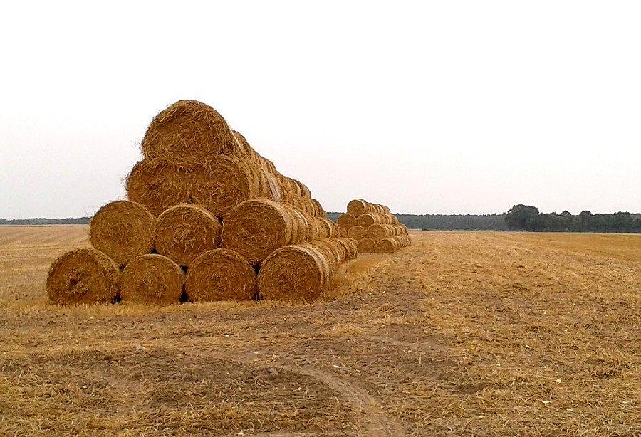 Po żniwach w Nieznaniu