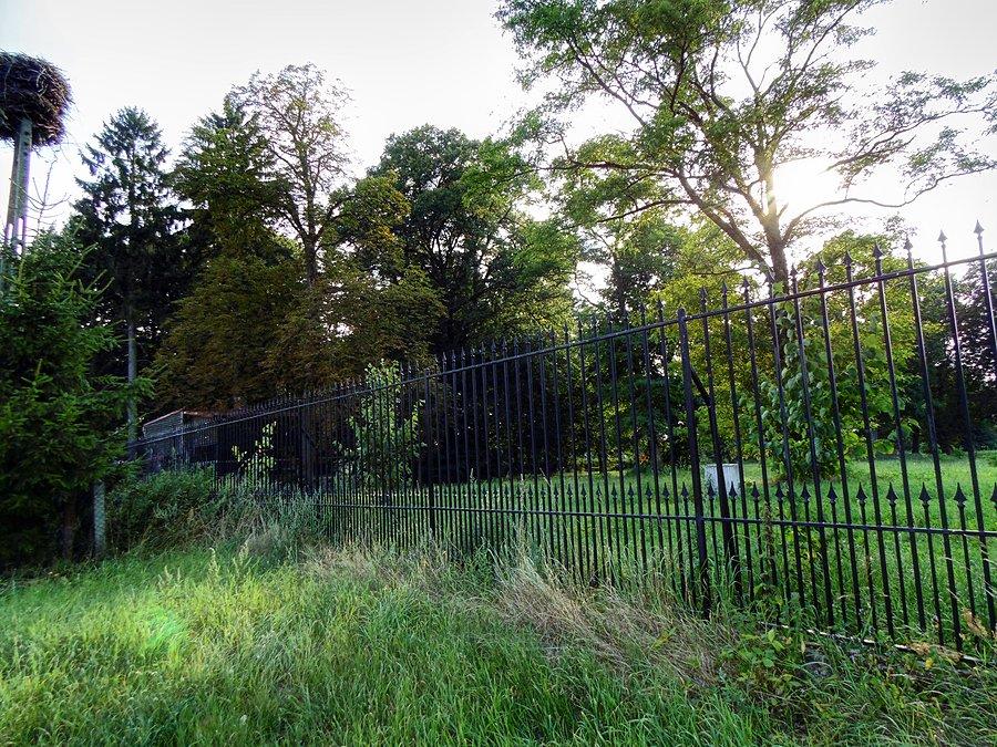 A park w wielichówku ogrodzony