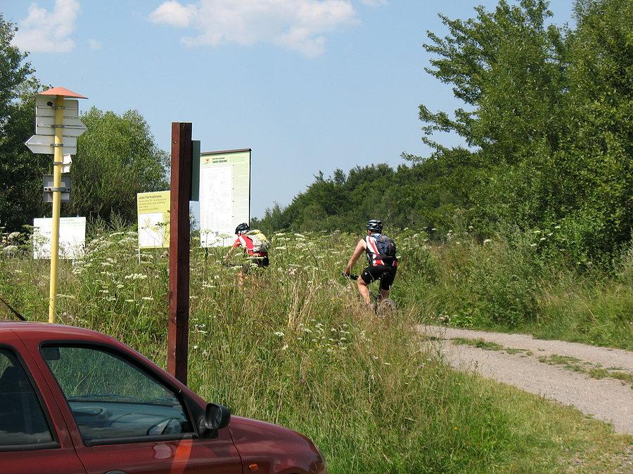 Chłopaki jadą do Polski