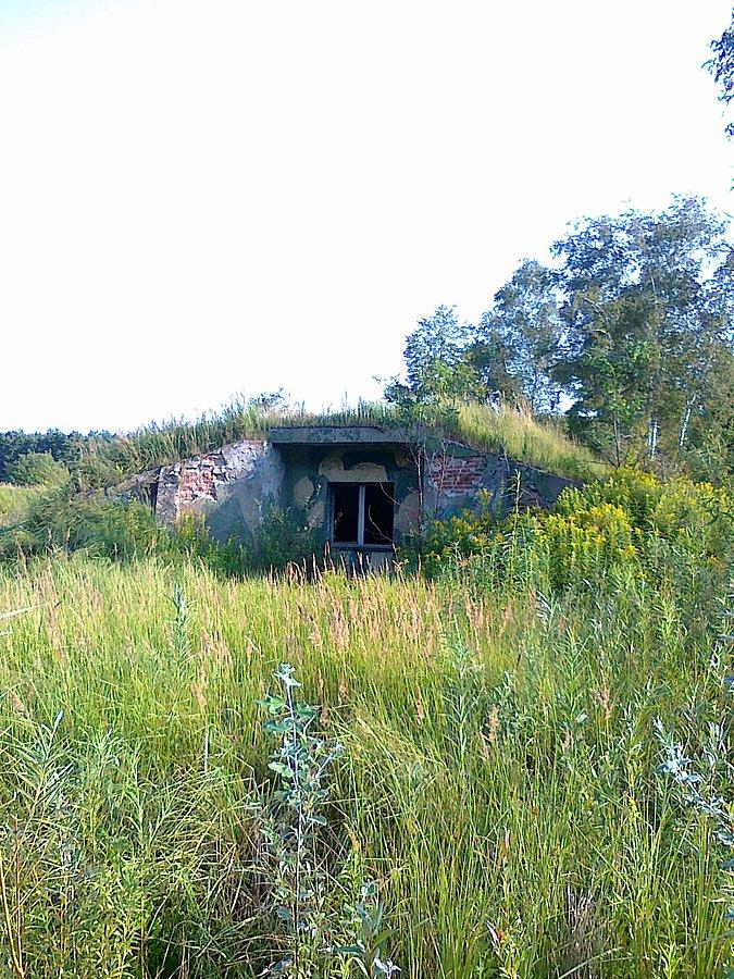 Ruiny bunkrów