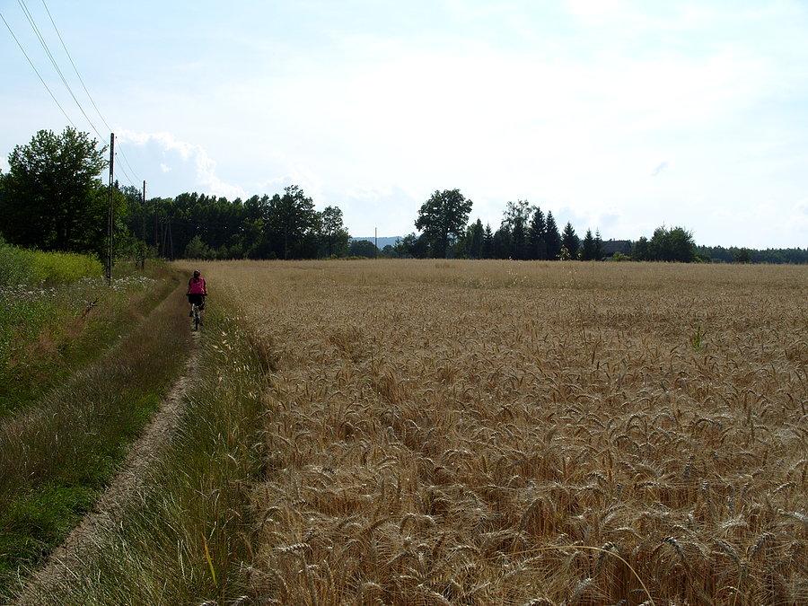 Damy zawsze puszczam przodem ;)) jak jakaś żmijka na drodze będzie się wygrzewać to wiadomo kto ją obudzi ;)
