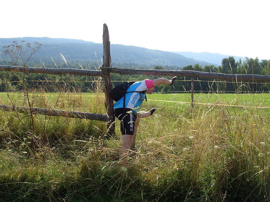 Na polanie widzę świetne miejsce do fotki, ale znowu przekonałem się że pastuchy nie są na 24v tylko chyba ktoś je podłączył do gniazdka 220v ale masaż miałem za darmo że aż włosy stanęły ;)) tam i ówdzie ;)