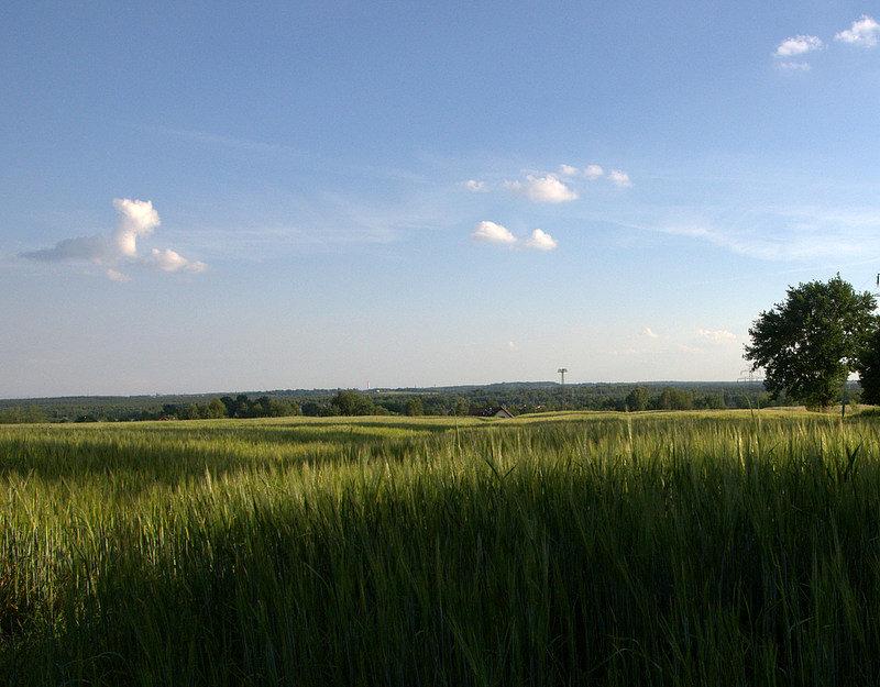 Gdzieś w Rudzie Śląskiej