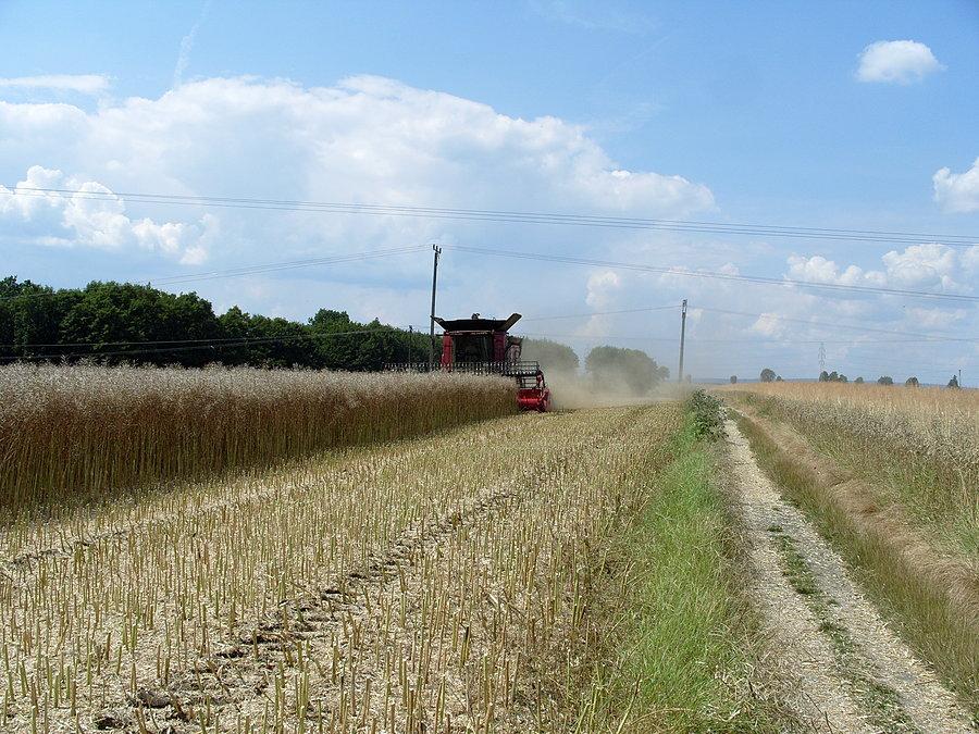 Dojazd do FullStronga, żniwa na całego, gdy wpadłem w chmurę wylotową kombajnu byłem prawie biały i lekko podduszony pyłem, jeszcze tego mi brakowało na porannego Pana kac..........;(