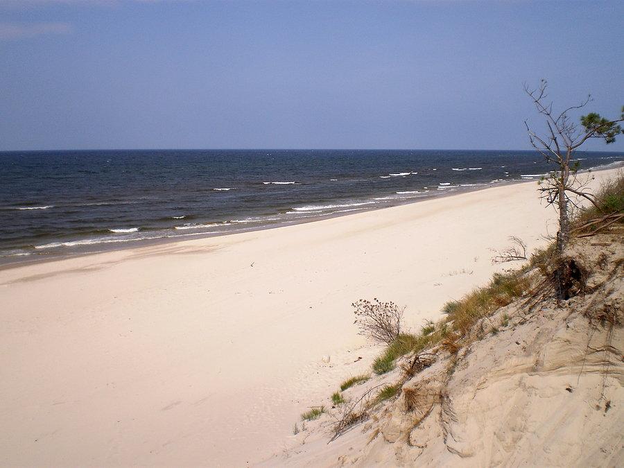 Bezludna plaża między Pogożelicą a Mrzeżynem