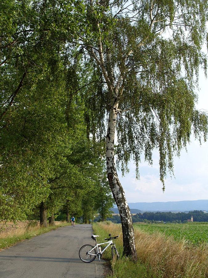 Szalejów i ostatni podjazd tego dnia, na podjeździe przypomniałem sobie że kolega to myśliwy i posiada na podorędziu broń którą może się zemścić za górki, więc brałem coraz większą odległość przed samym domem ;))