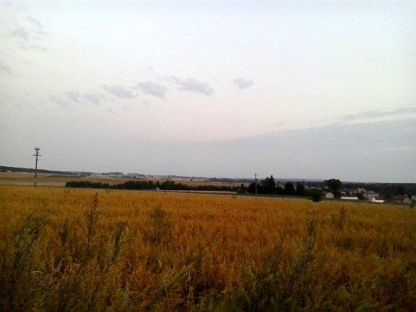Koło Prawiednik