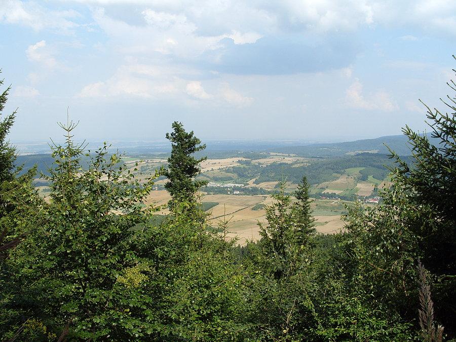 Podczas połykania jeżyn fotka na okolice