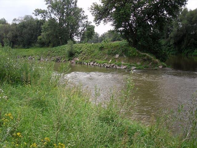 Ujście Olzy do Odry