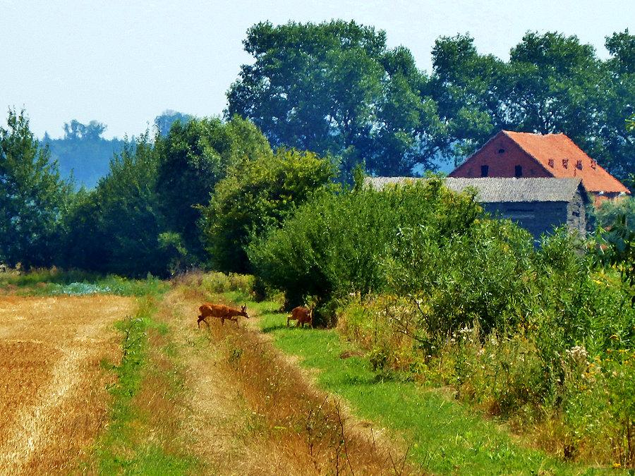Na trasie wycieczki.Biała Góra