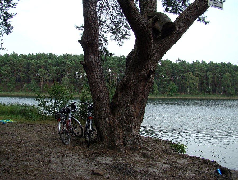 Jezioro Ciche w pobliżu miejscowości Struga