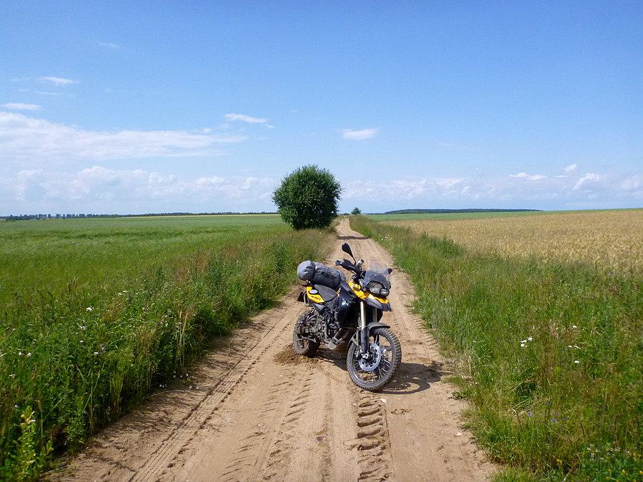 Pomiędzy polami