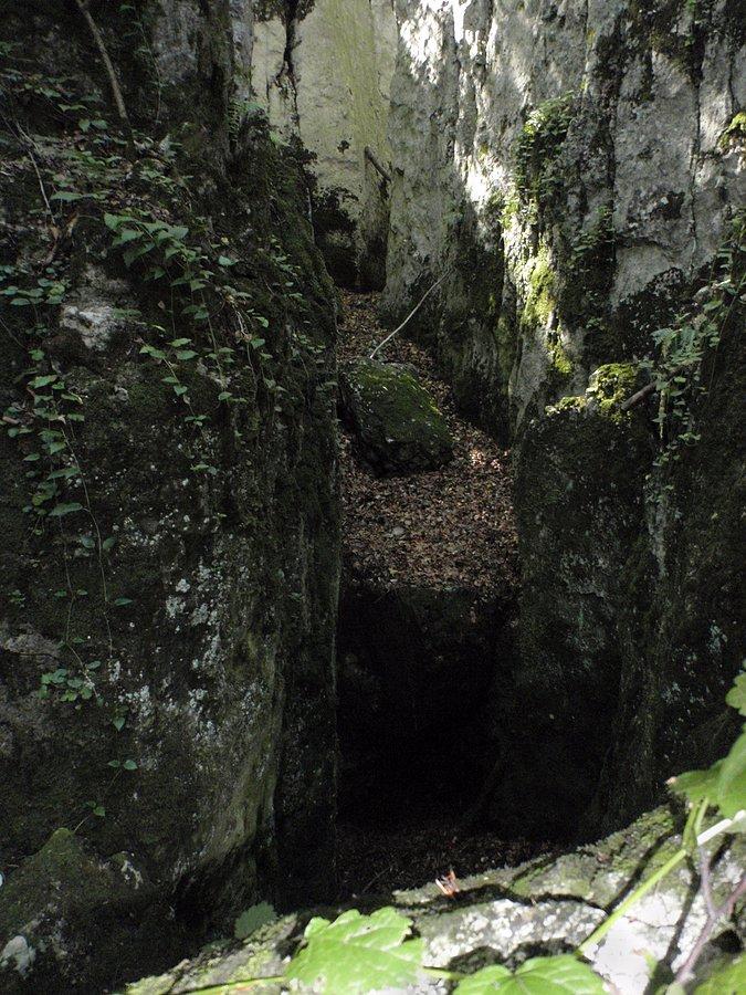 W Cisowych Skałach