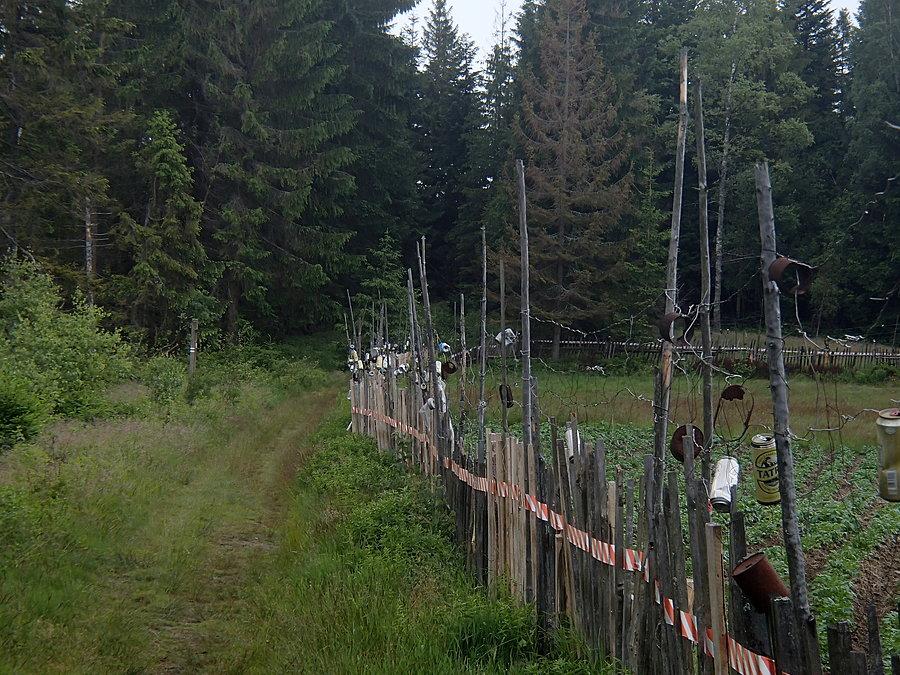 Płot z puszek