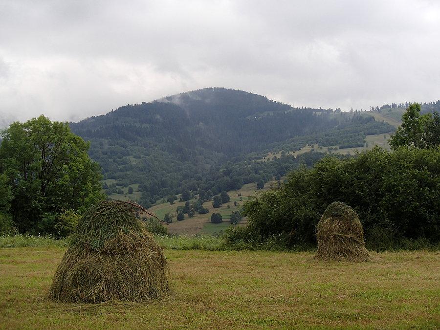 Widok na halę