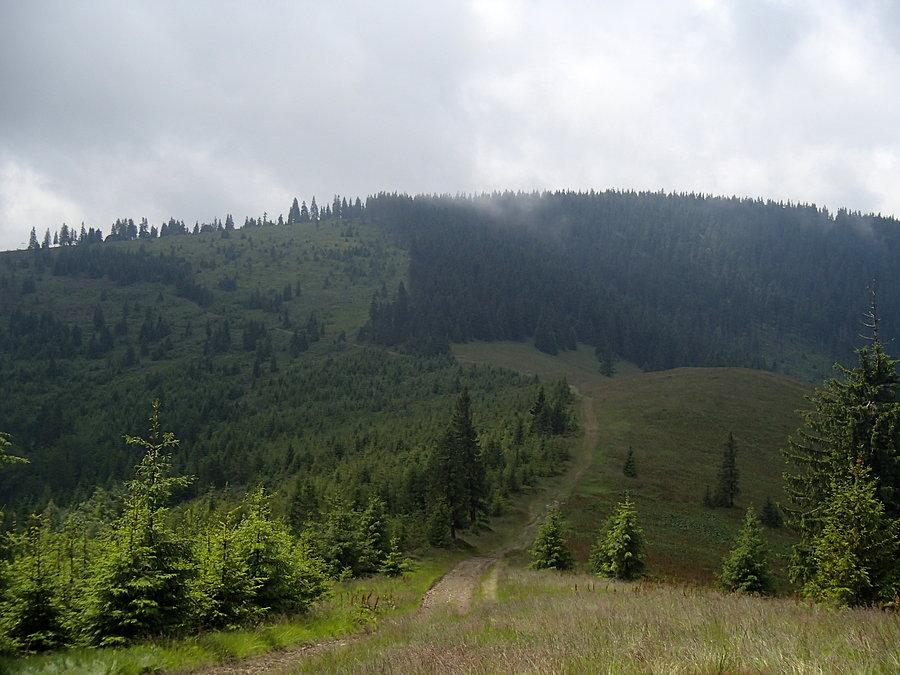 Widok na halę