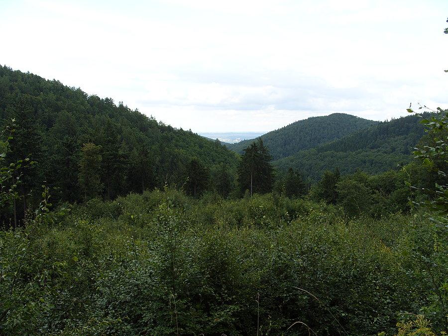 Widok z Łaszczowej i tam zmierzam