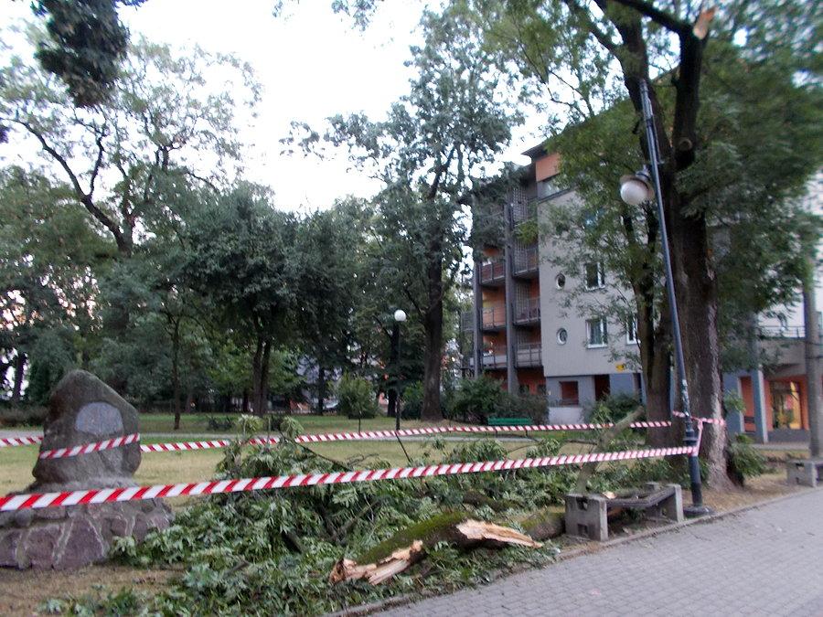 Po wczorajszej burzy