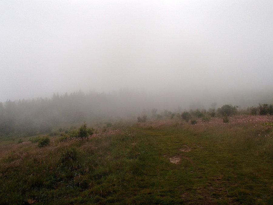 Widok w chmurach