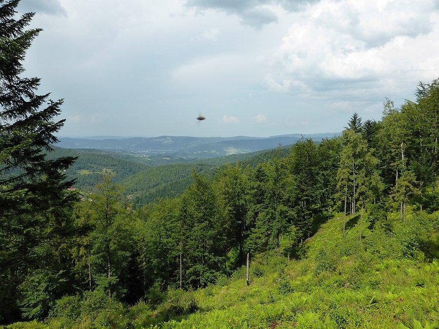 Złapałem UFO?