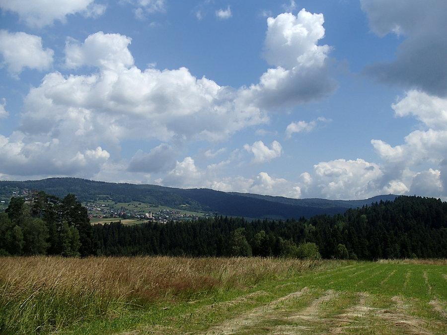 Pola przed Rabką