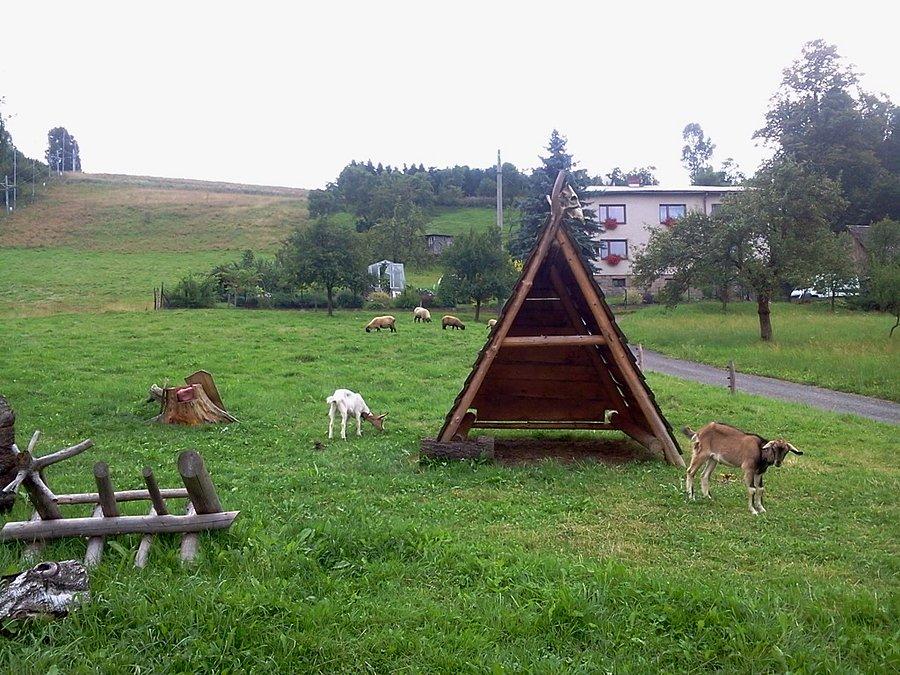 Bukowiec zagroda