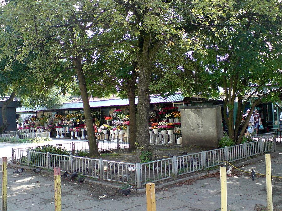 Łódź Barlicki