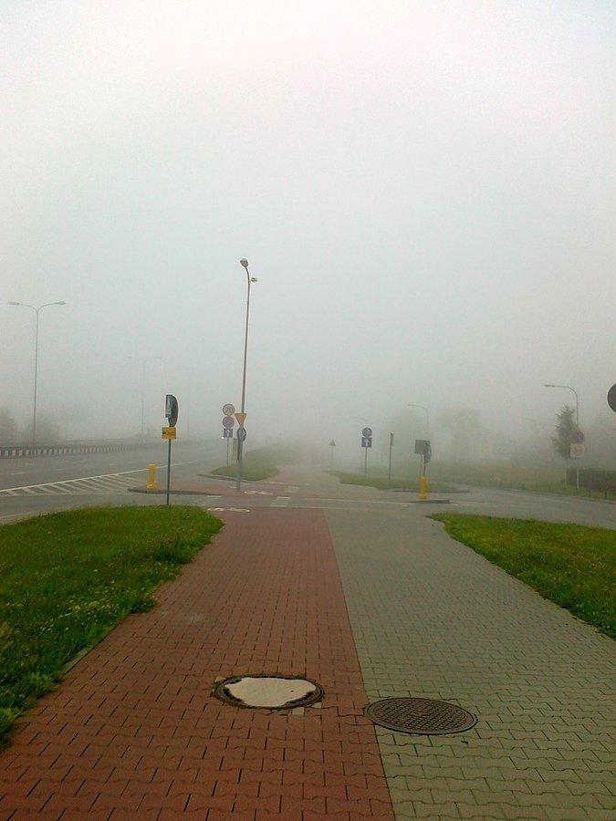 Mgła była dziś gęsta