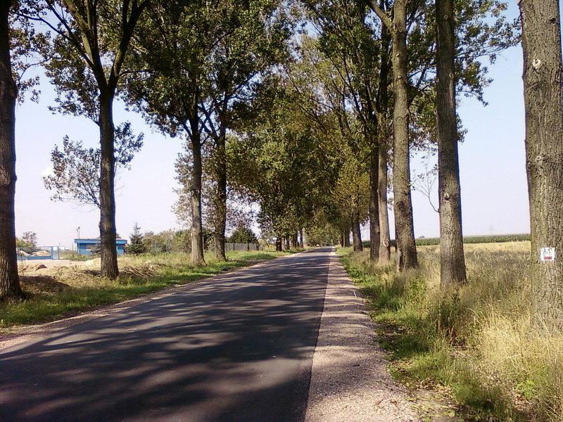 Droga na Rzgów