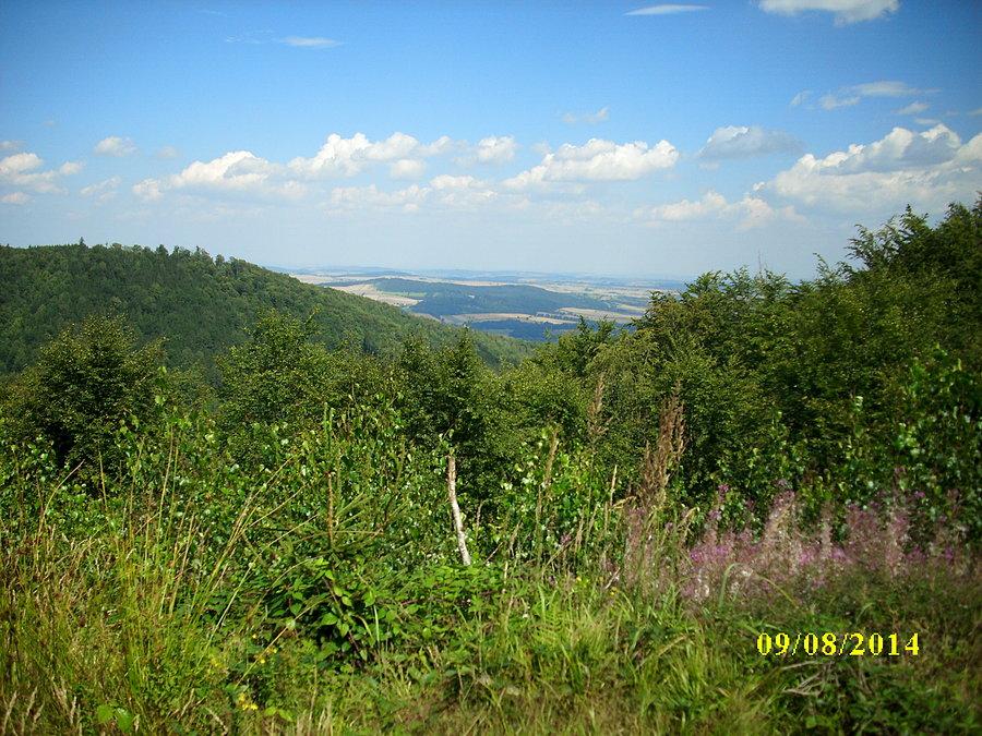 Widok z trasy do Srebrnej Góry