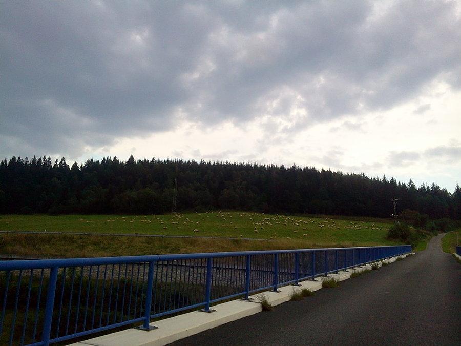 Owce nad przełeczą